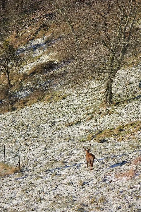 Maison Du Coue Pyrenees Mourtis Gite Pour 2 A 12 Pers Sengouagnet France