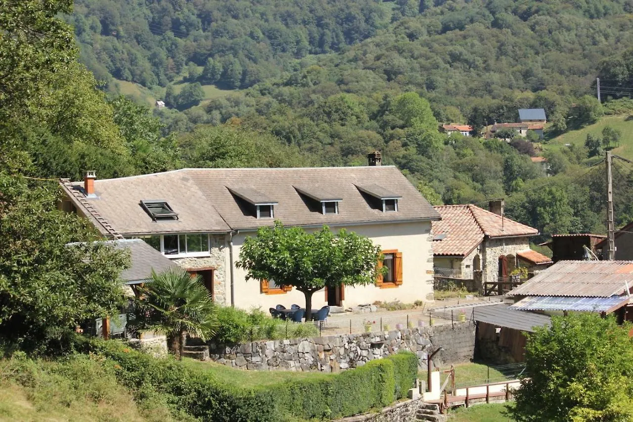 Maison Du Coue Pyrenees Mourtis Gite Pour 2 A 12 Pers Sengouagnet Holiday home